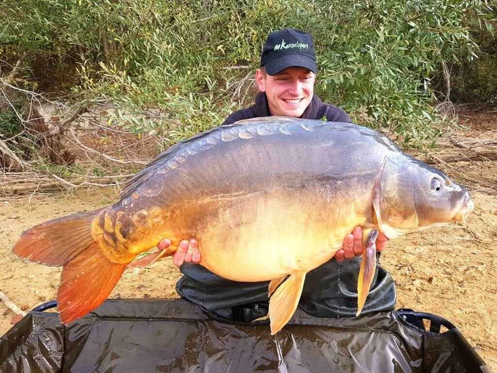 IMG-20161024 Der Angler hält stolz einen großen Karpfen in der Hand und demonstriert sein erfolgreiches Angeln mit hochwertigem Gerät.
